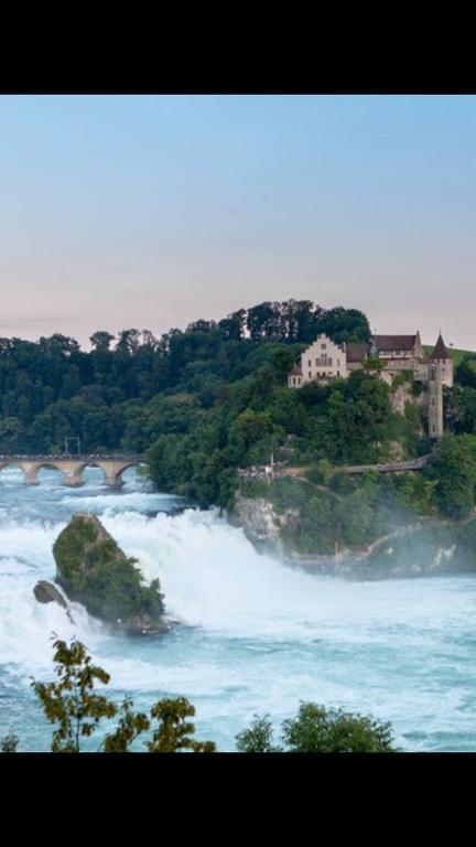 Zak Neuhausen Vandrehjem Neuhausen Am Rheinfall Eksteriør billede